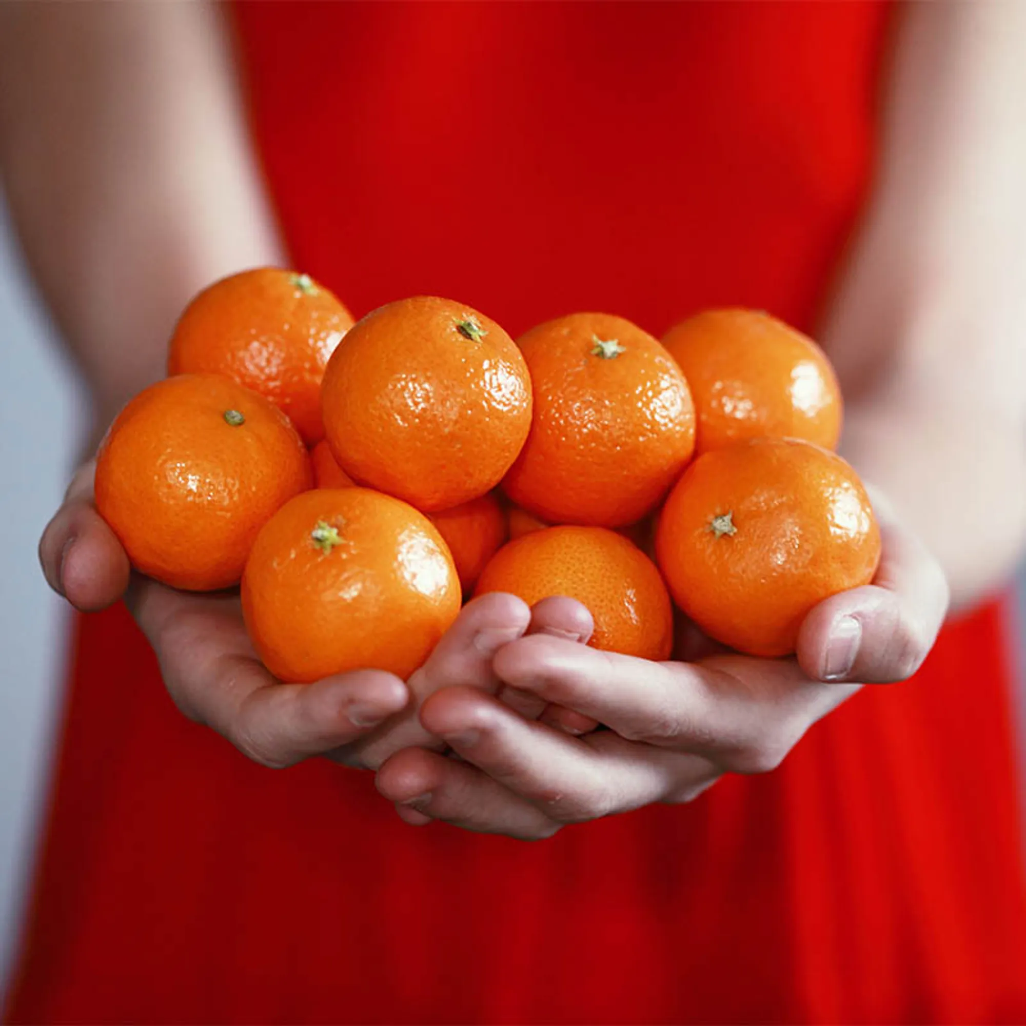 Frau hält Mandarinen