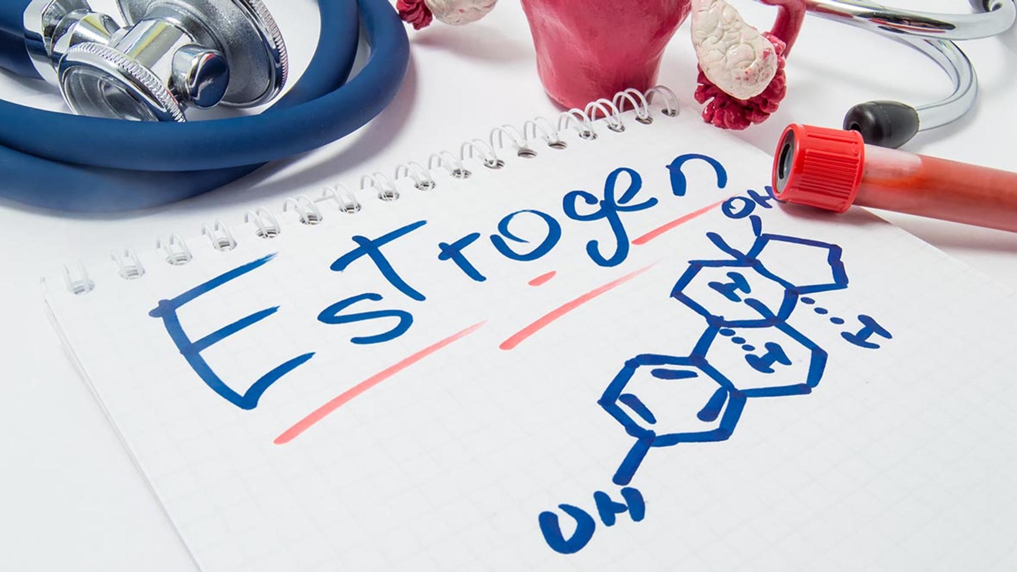 Lebensmittel östrogenarme Östrogenarme Symptome: