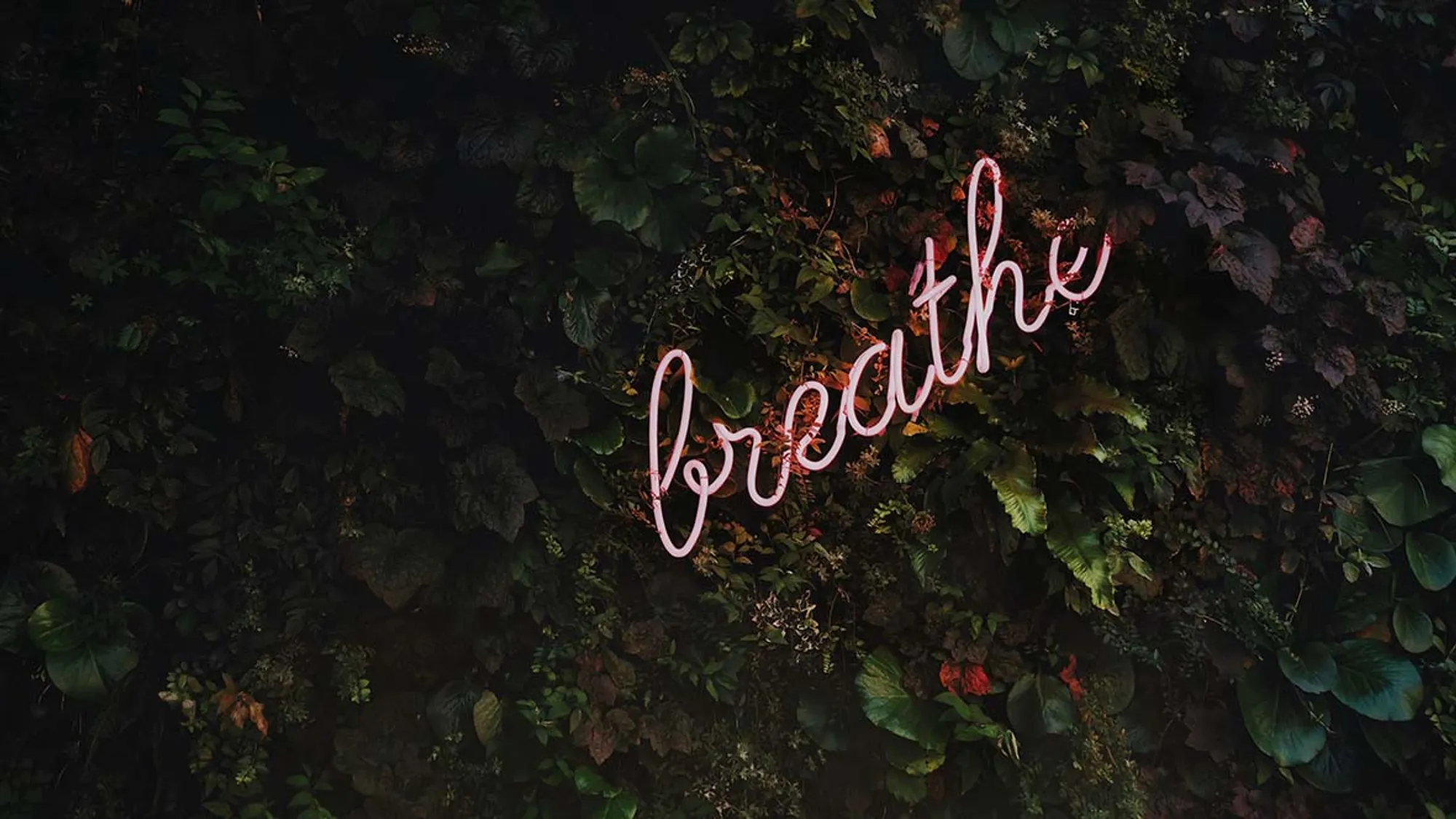 Atemtechniken: Bild mit breathe schriftzug