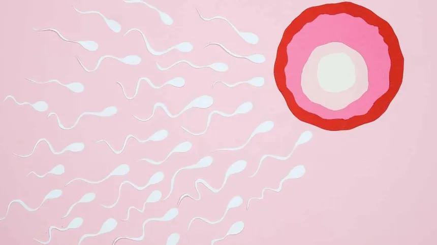 10 erstaunliche Fakten über Spermien