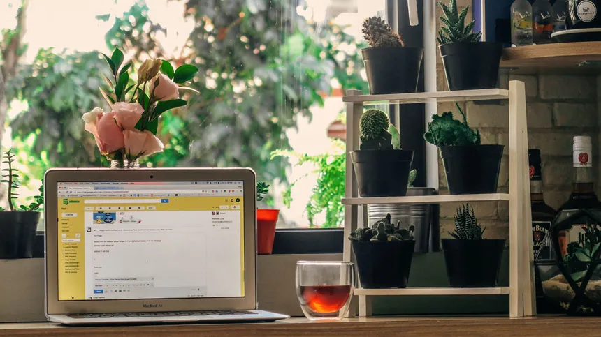 Laptop steht auf einem Schreibtisch mit Pflanzen