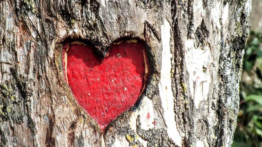 Herz in einem Baum