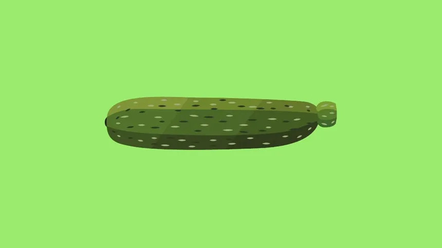 27. SSW - Bild einer Zucchini