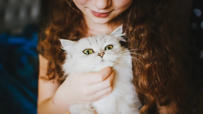 Ein Mädchen hat eine Katze auf dem Arm