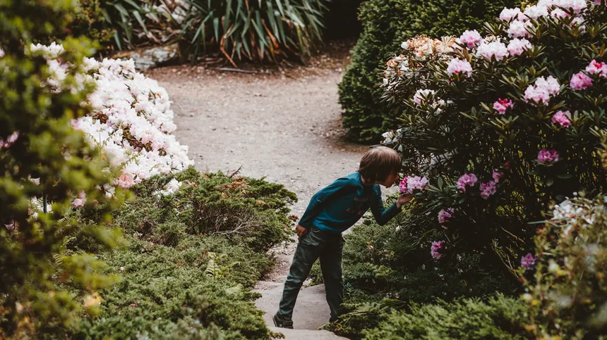Kind riecht in einem Garten an einer Blume