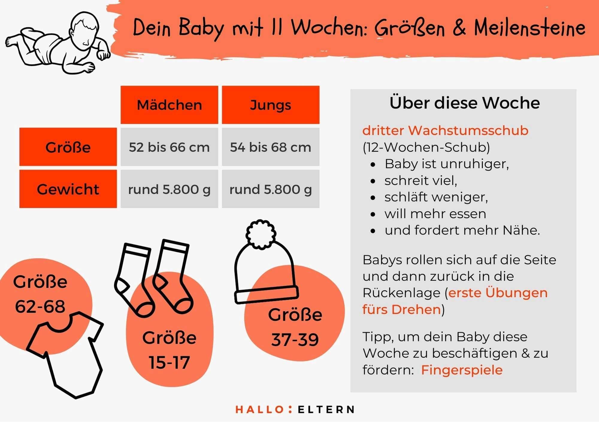 Baby 11 Wochen-Grafik