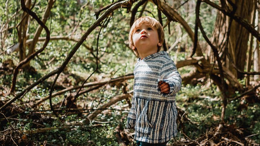 Kind 2 Jahre steht im Wald