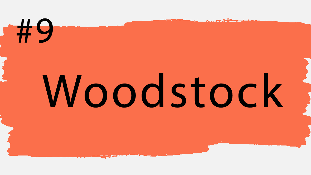 Vornamen, die in Deutschland verboten sind: Woodstock