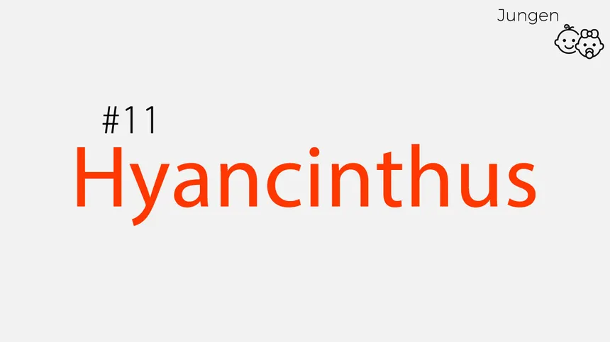lang und ausgefallen: Hyancinthus
