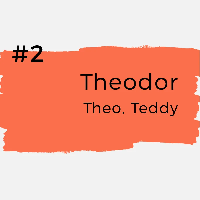 Vornamen mit kreativen Spitznamen - Theodor