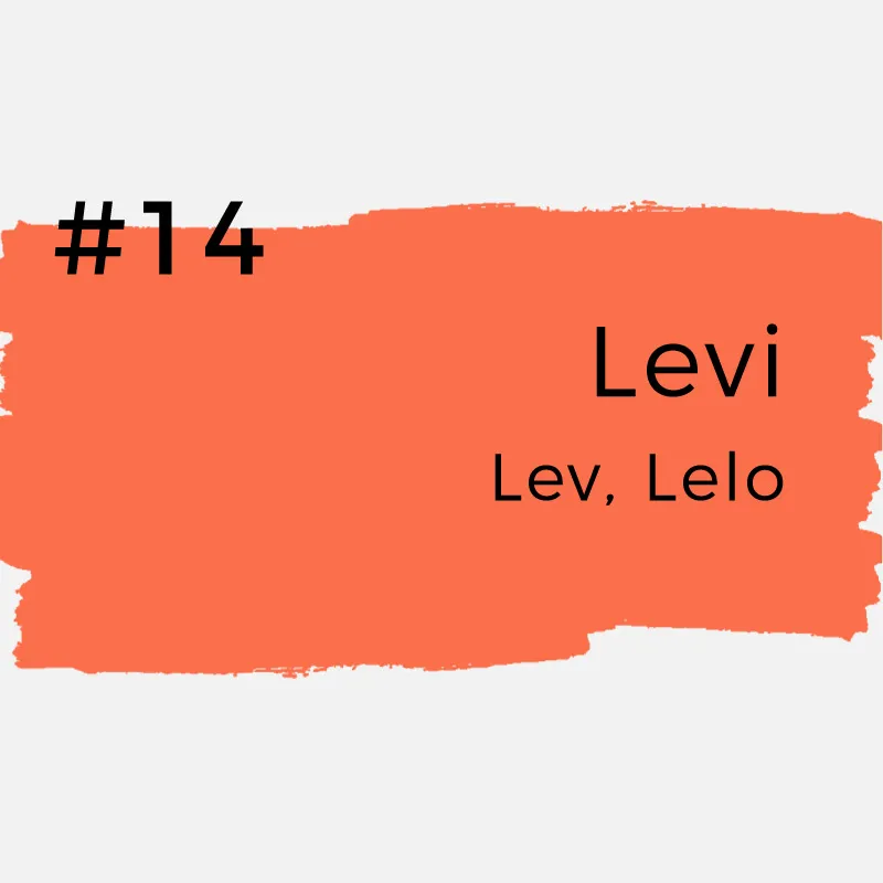 Vornamen mit kreativen Spitznamen - Levi