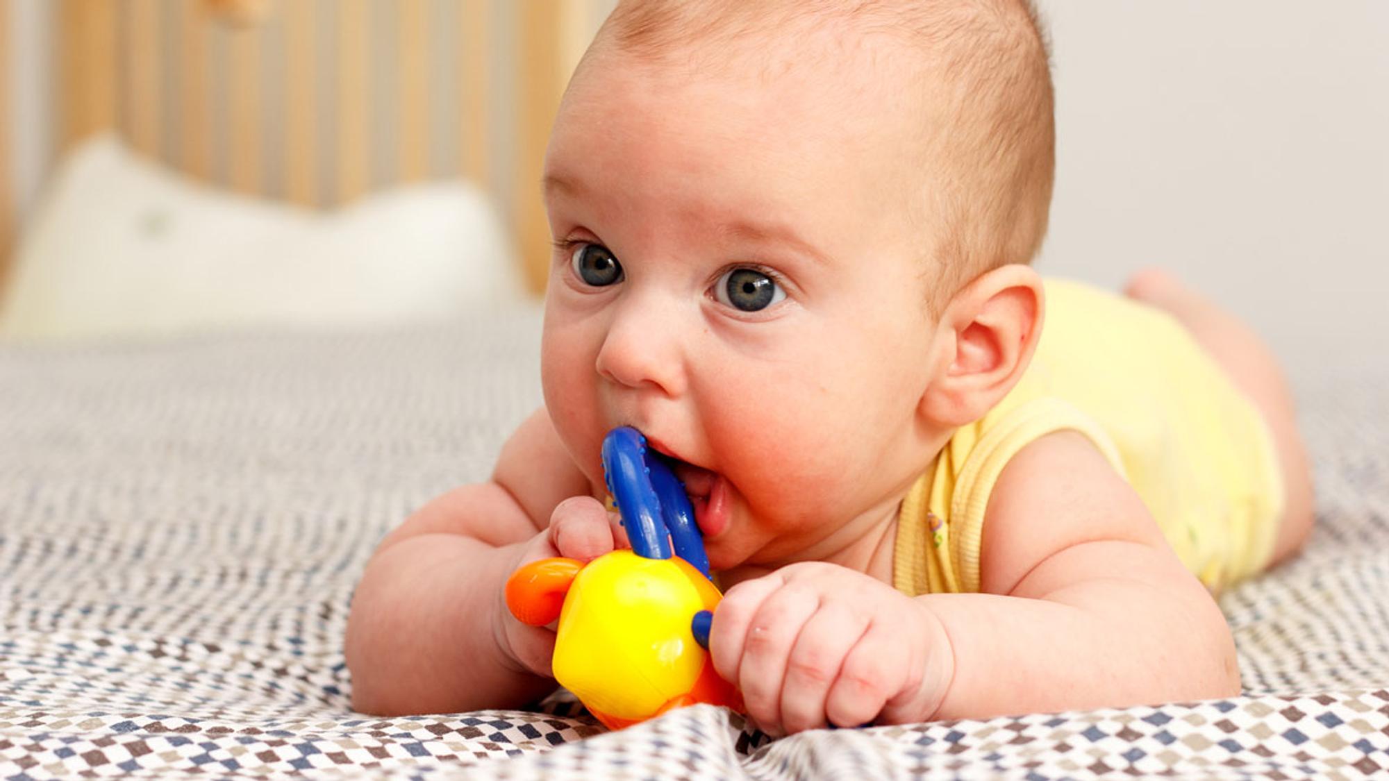 Haustier Ring Eva Training Übung Ringe Baby & Kind Babyartikel Pflege & Entwicklung Beißringe 