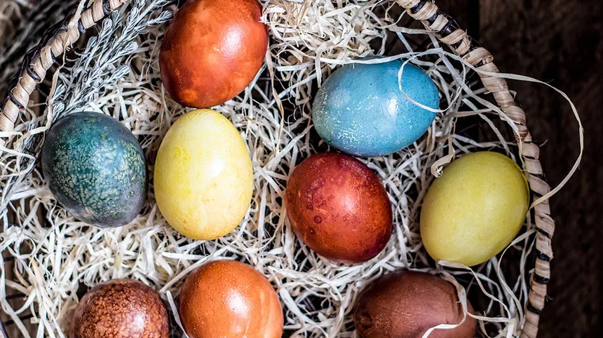 Bunte Eier liegen in einem Osternest