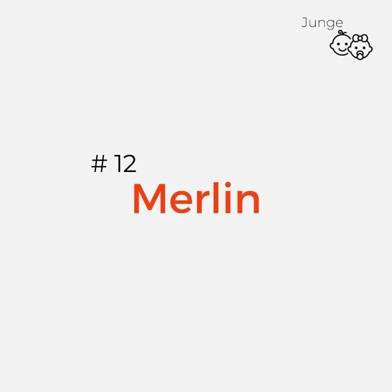 Namen mit Bedeutung Jungs: Merlin