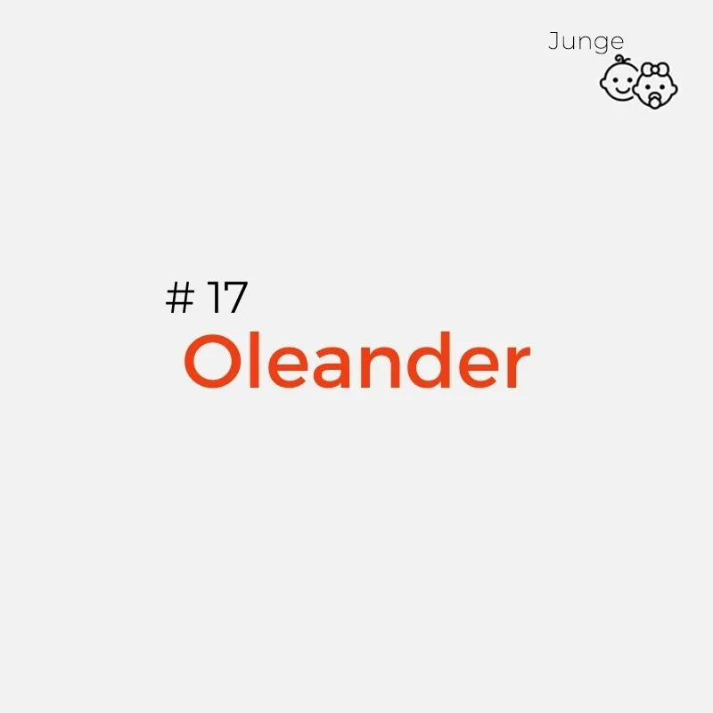 Namen mit Bedeutung Jungs: Oleander