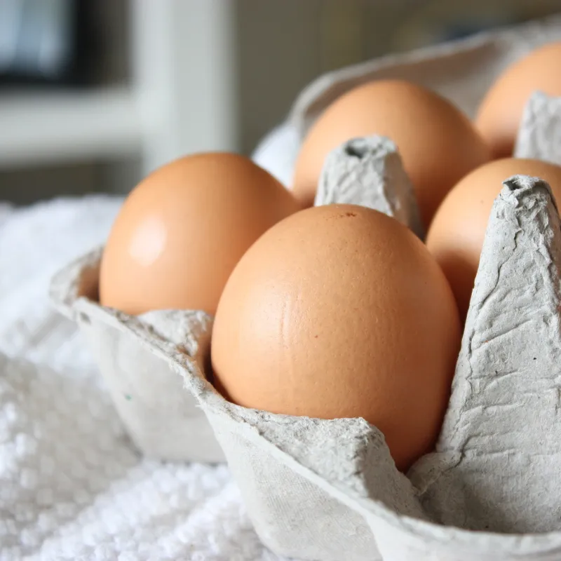 Ideen, was du aus leeren Eierkarton basteln kannst