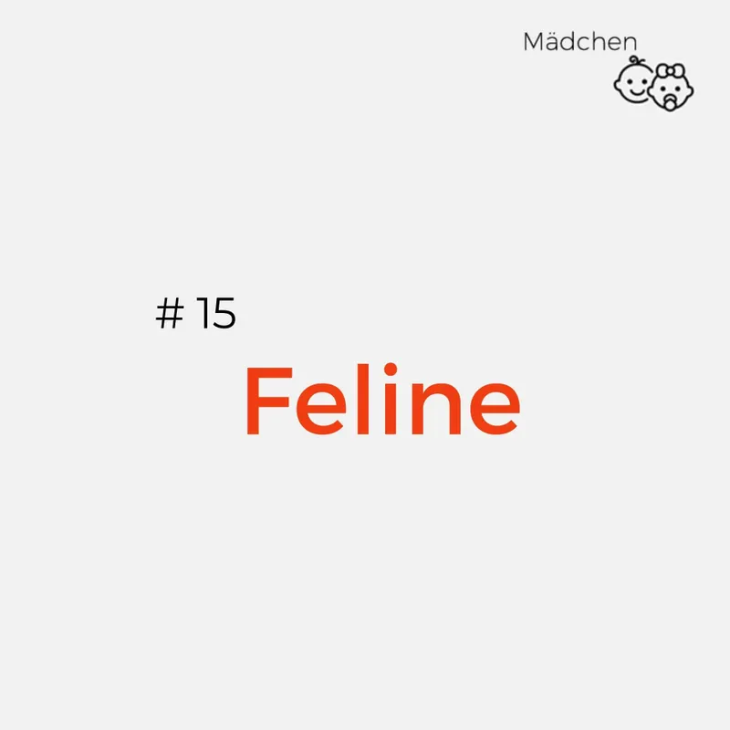 Lateinische Name: Feline
