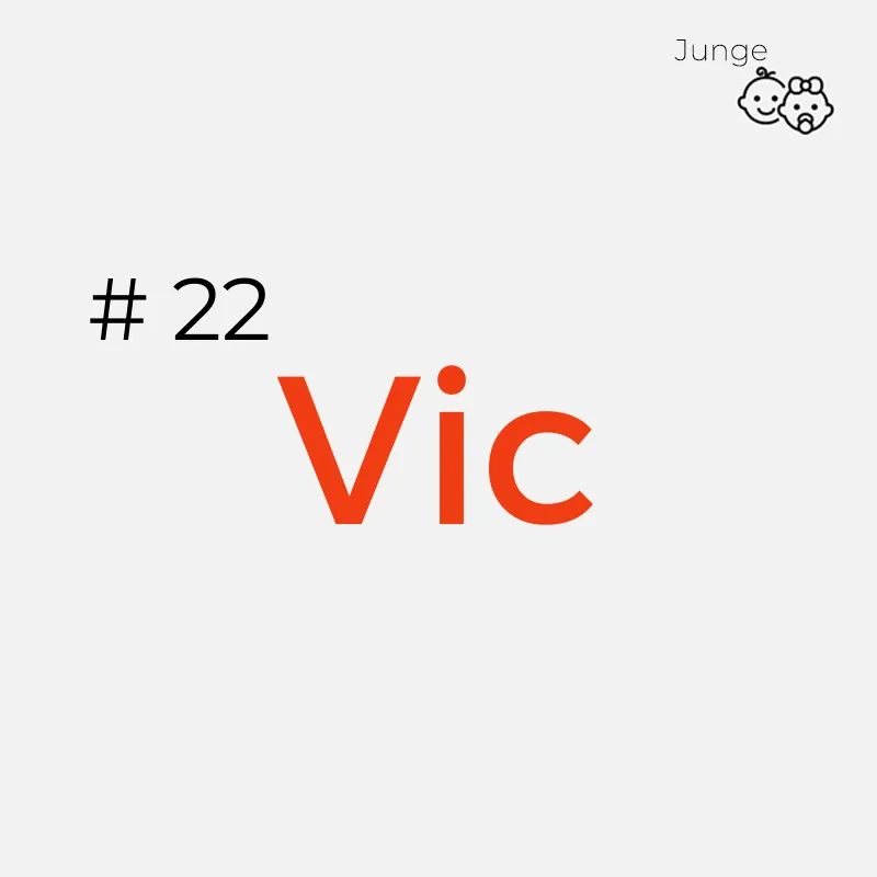 Jungennamen mit 3 Buchstaben: Vic