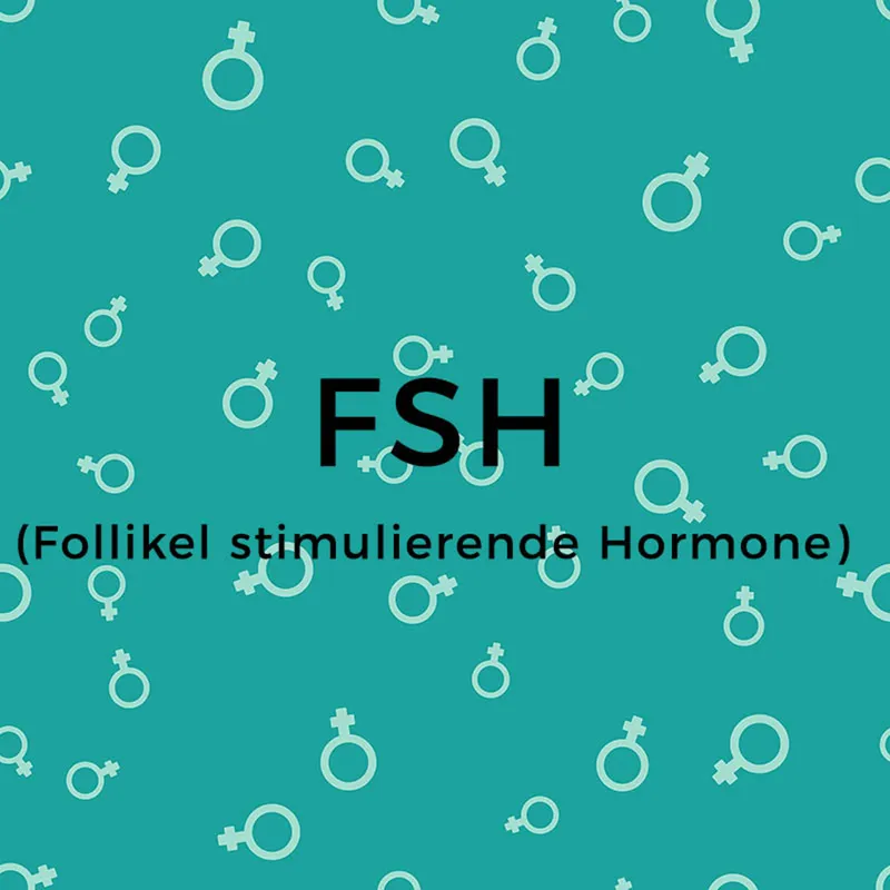 weibliche Hormone: FSH