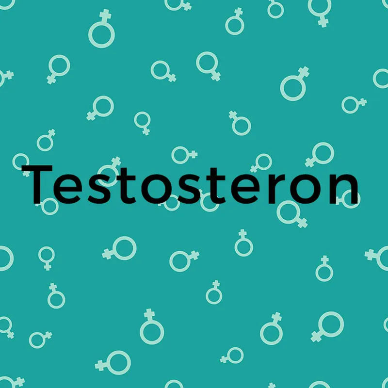 weibliche Hormone: Testosteron