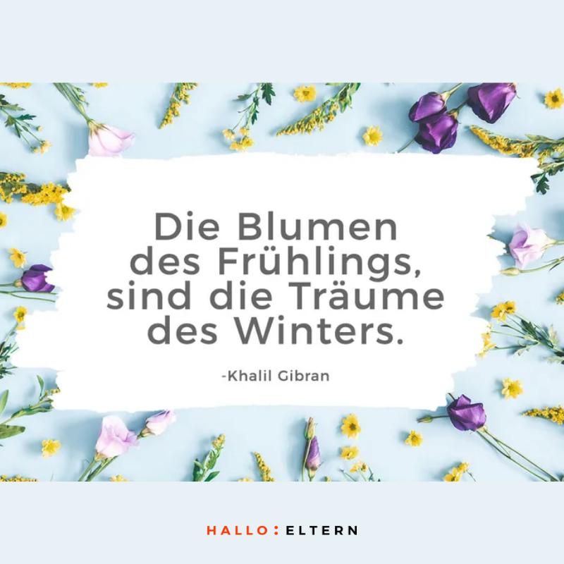 Frühlingsspruch von Khalil Gibran: Blumen sind die Träume des Winters