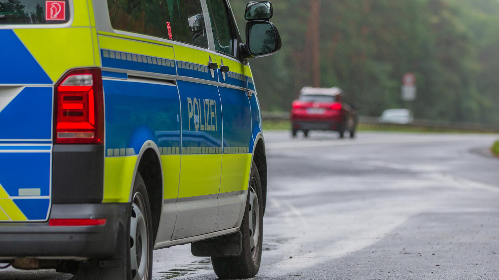Polizei stoppt Mutter bei Verkehrskontrolle: drei Kinder, Baby und Hund  sitzen ungesichert im Auto - Hallo Eltern