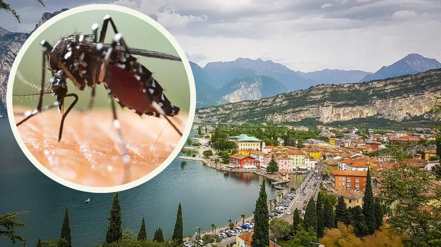 Dengue-Fieber am Gardasee: Was bedeutet Ansteckung für Kinder & Schwangere?